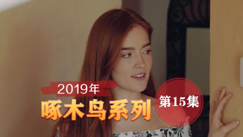 翹起小屁屁求插太騷了 啄木鸟19年系列-第15集